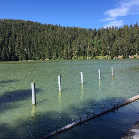 Le Petit Kichon Lägenhet Gérardmer Exteriör bild