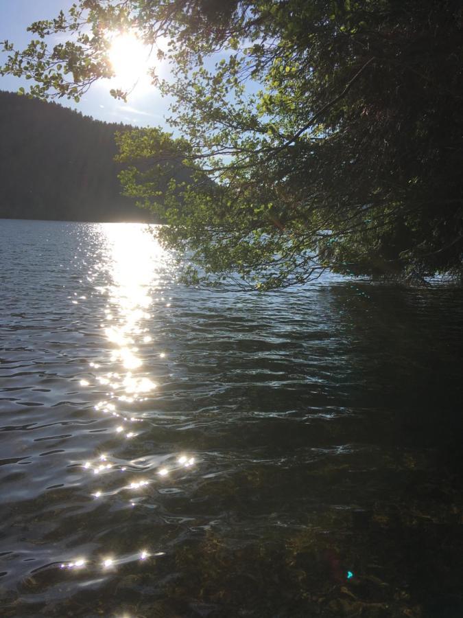 Le Petit Kichon Lägenhet Gérardmer Exteriör bild
