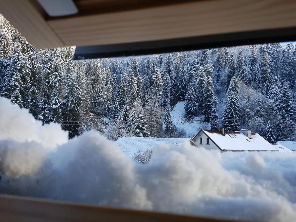 Le Petit Kichon Lägenhet Gérardmer Exteriör bild