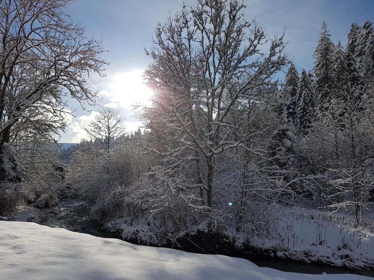 Le Petit Kichon Lägenhet Gérardmer Exteriör bild