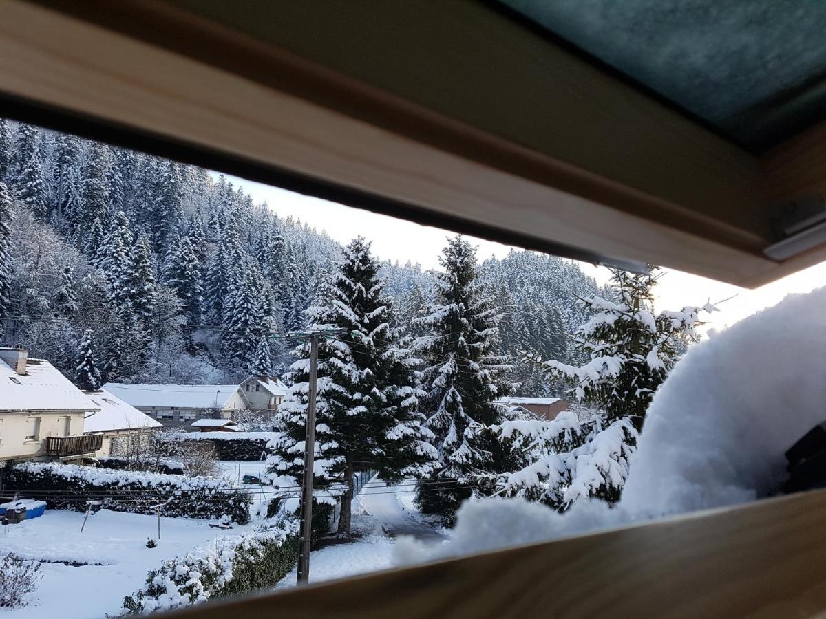 Le Petit Kichon Lägenhet Gérardmer Exteriör bild