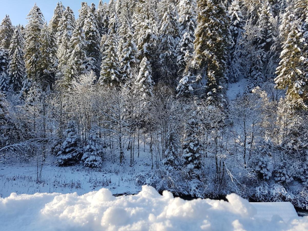 Le Petit Kichon Lägenhet Gérardmer Exteriör bild