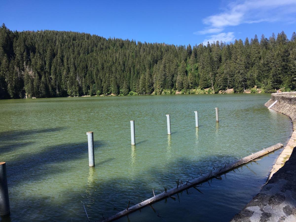 Le Petit Kichon Lägenhet Gérardmer Exteriör bild
