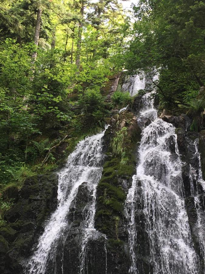 Le Petit Kichon Lägenhet Gérardmer Exteriör bild