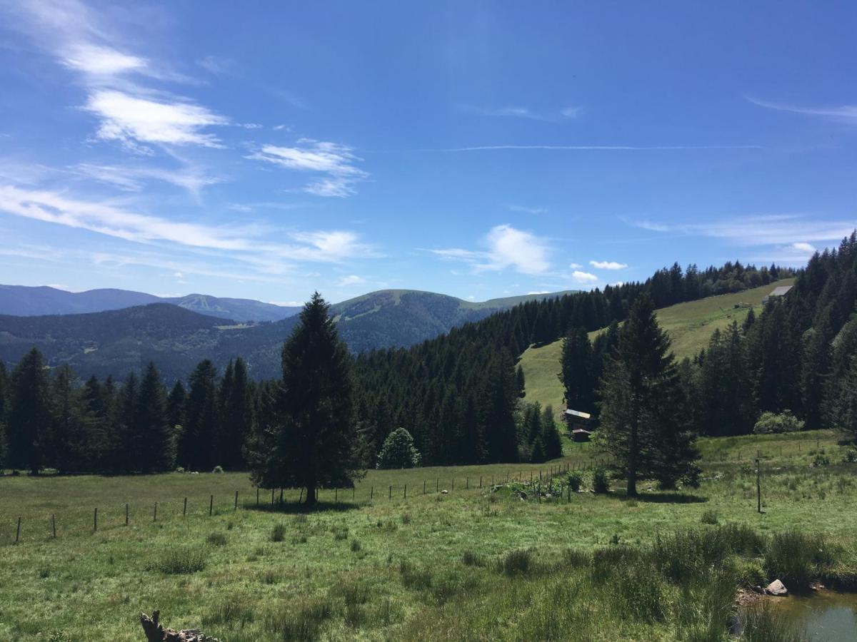 Le Petit Kichon Lägenhet Gérardmer Exteriör bild