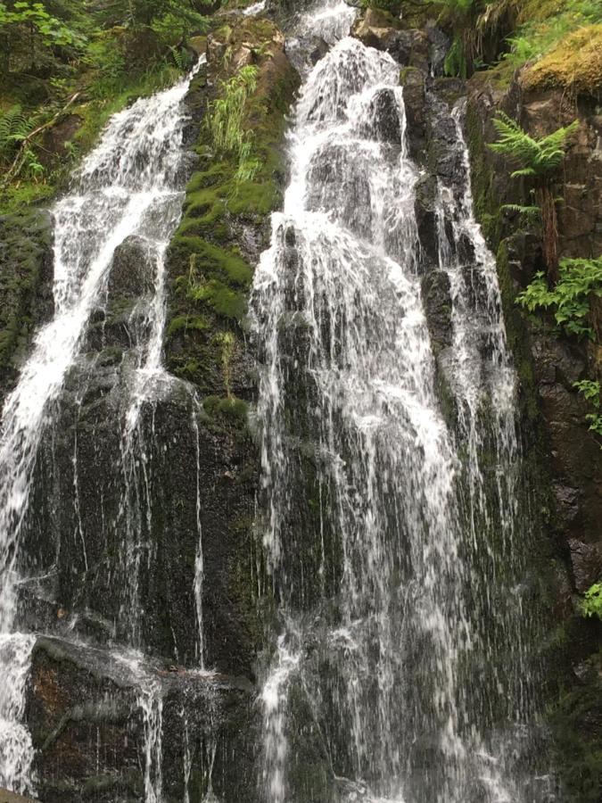 Le Petit Kichon Lägenhet Gérardmer Exteriör bild