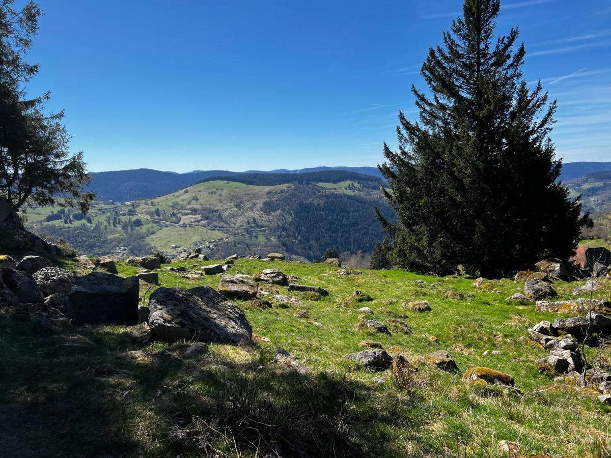 Le Petit Kichon Lägenhet Gérardmer Exteriör bild