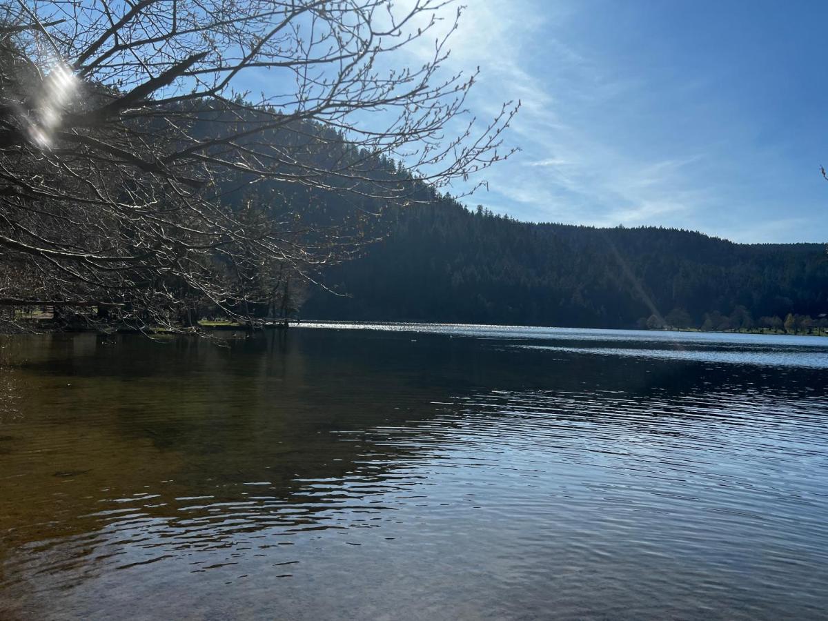 Le Petit Kichon Lägenhet Gérardmer Exteriör bild