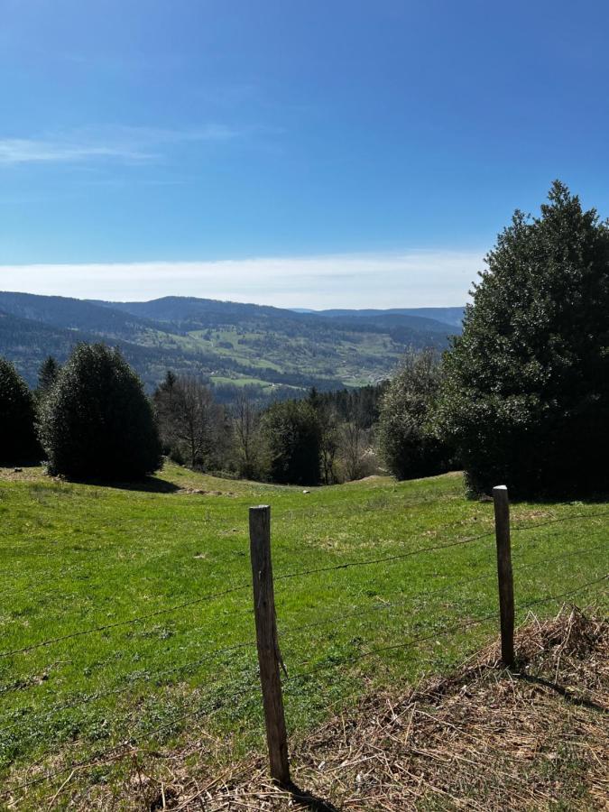 Le Petit Kichon Lägenhet Gérardmer Exteriör bild