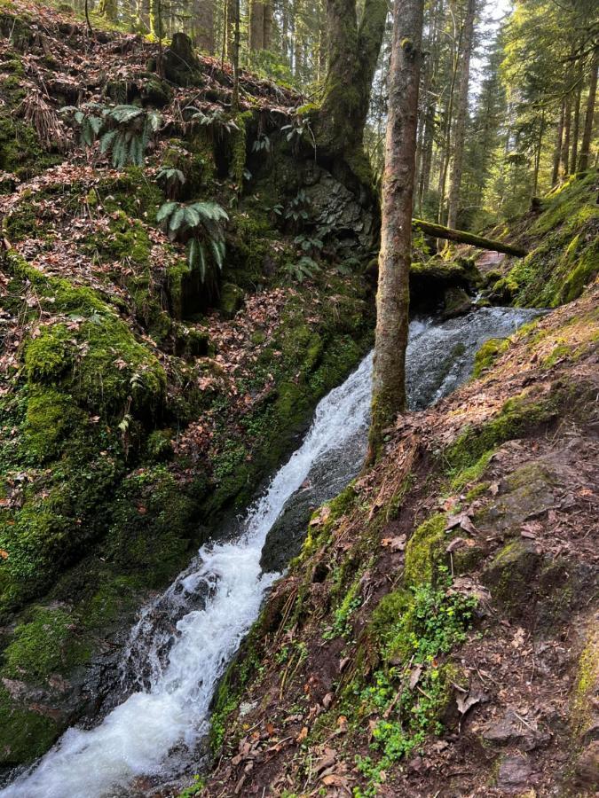 Le Petit Kichon Lägenhet Gérardmer Exteriör bild