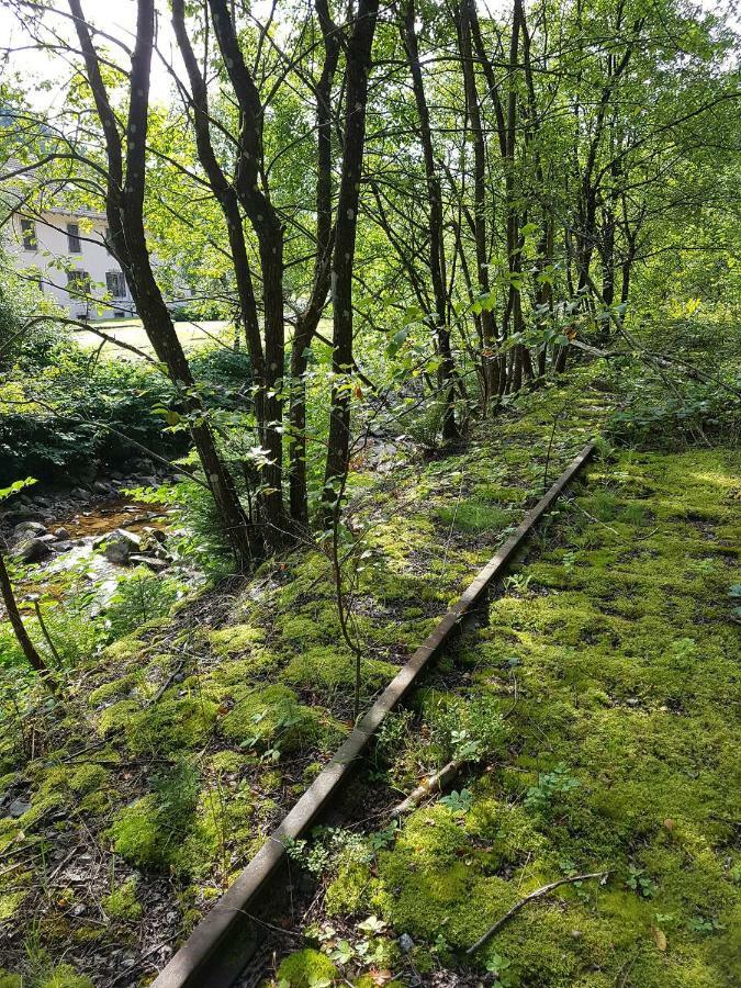 Le Petit Kichon Lägenhet Gérardmer Exteriör bild